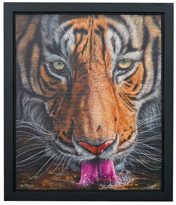 Tigre che beve acqua – 50 X 60 cm Art Gallery